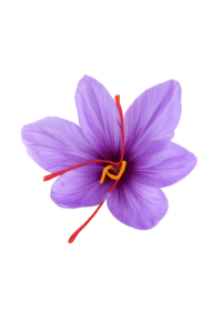 زعفران کهن
